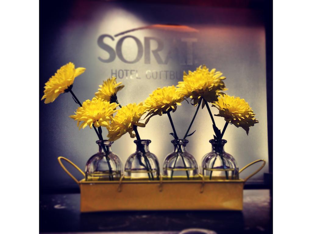 Sorat Hotel คอตต์บุส ภายนอก รูปภาพ